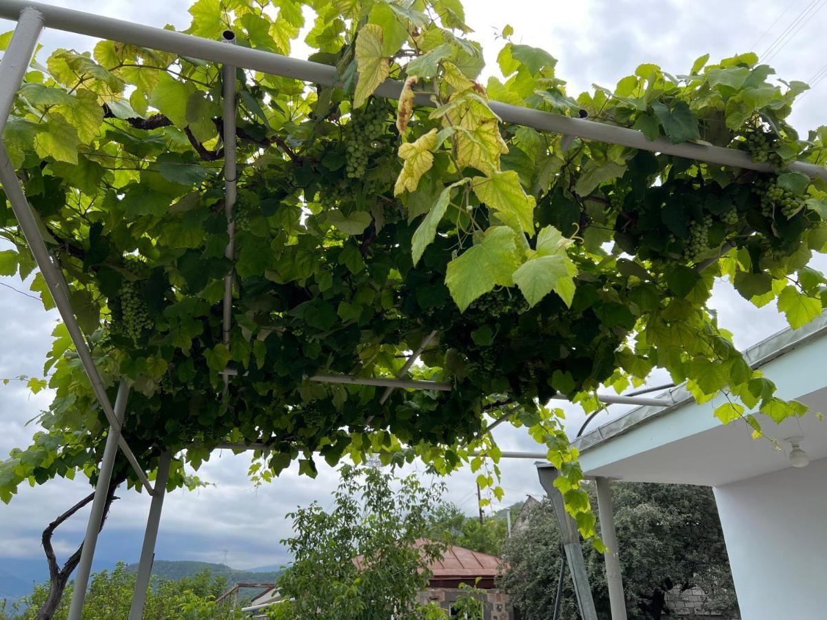 Arman Bed And Breakfast Halidzor Esterno foto