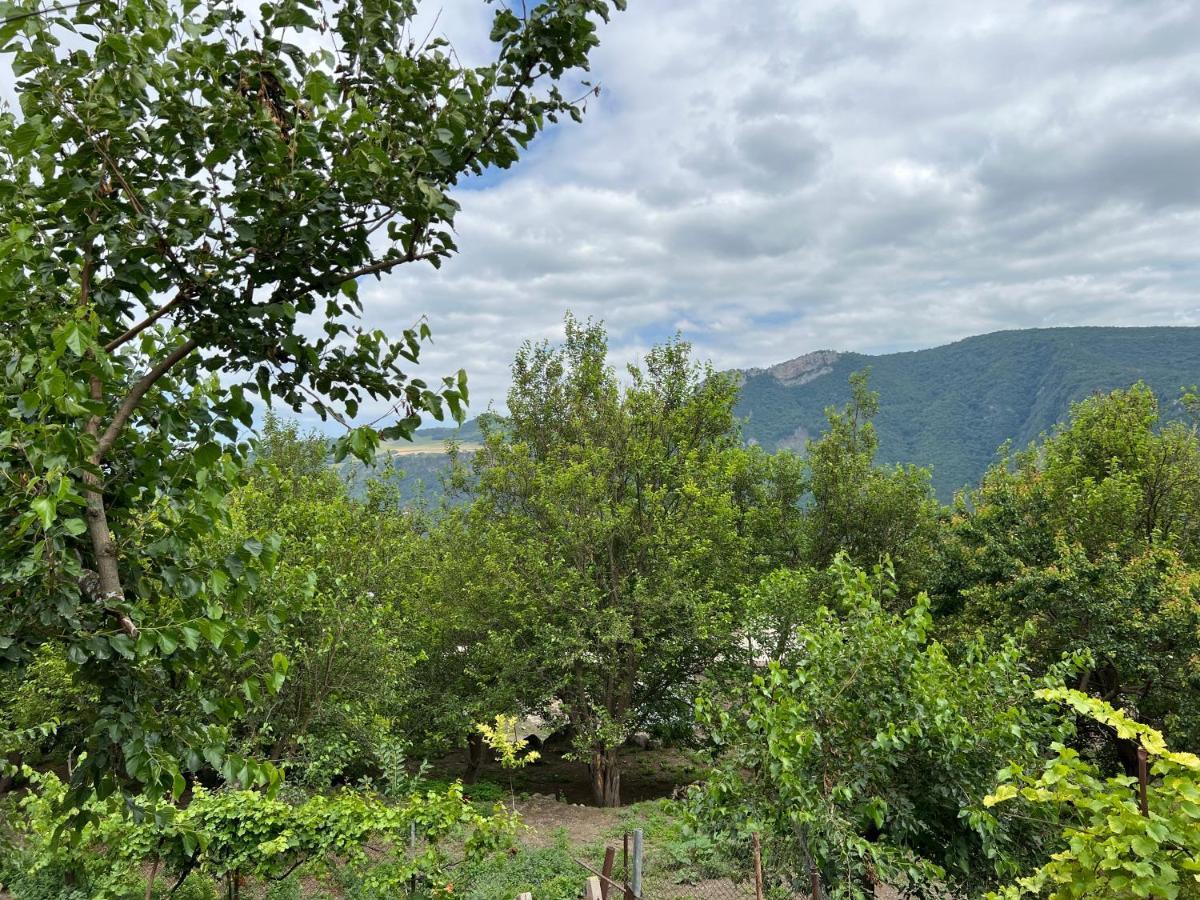 Arman Bed And Breakfast Halidzor Esterno foto